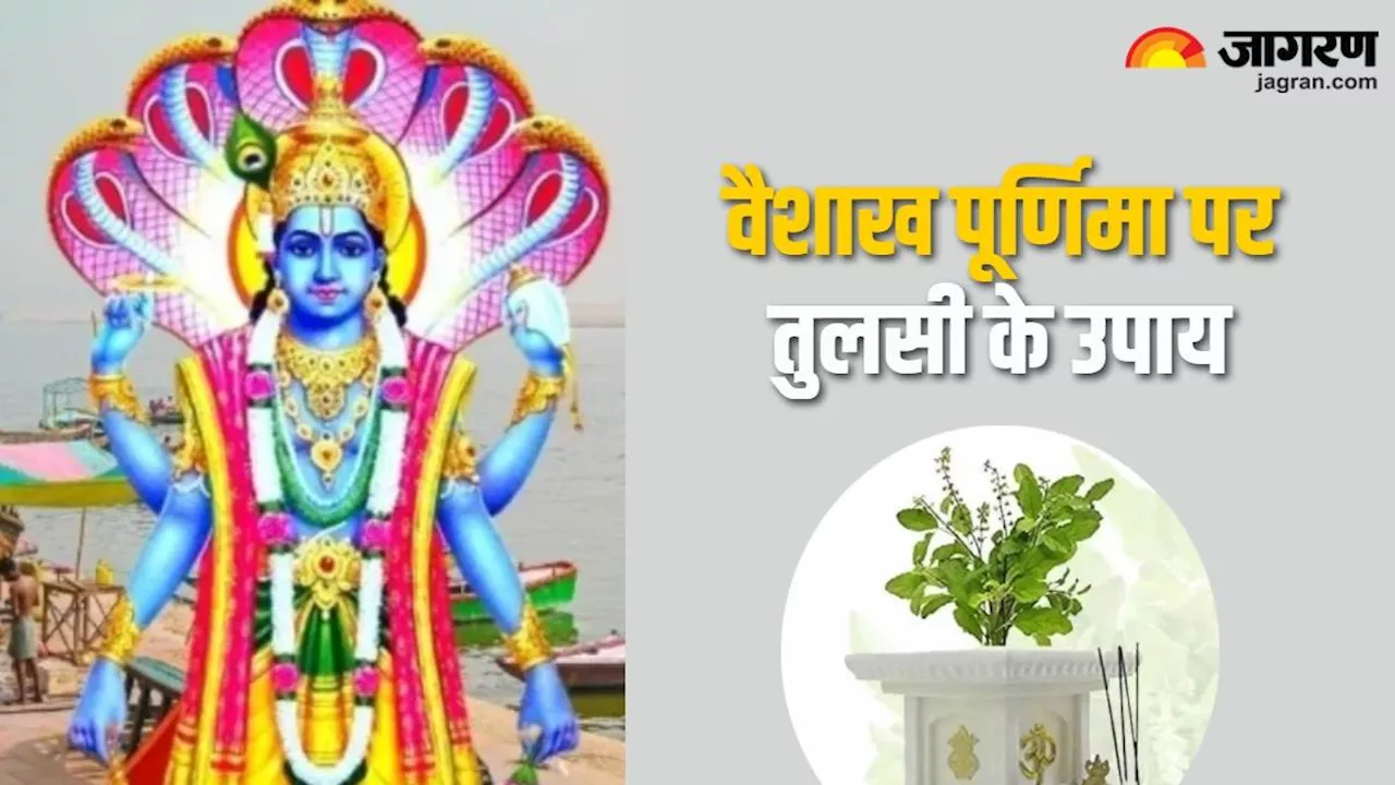 Vaishakh Purnima 2024: वैशाख पूर्णिमा पर जरूर करें तुलसी से जुड़े ये उपाय, कृपा बरसाएंगी धन की देवी