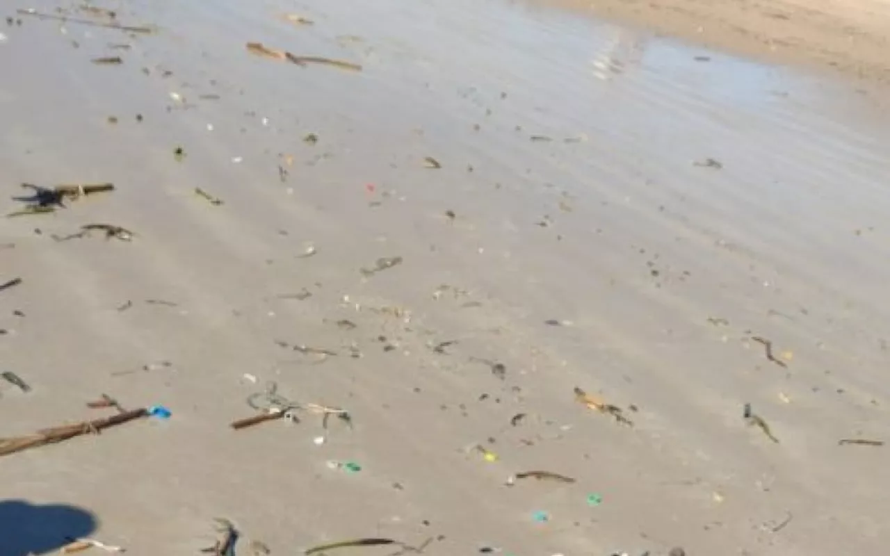 Moradores flagram 'caminho de lixo' entre as praias do Peró e das Conchas, em Cabo Frio