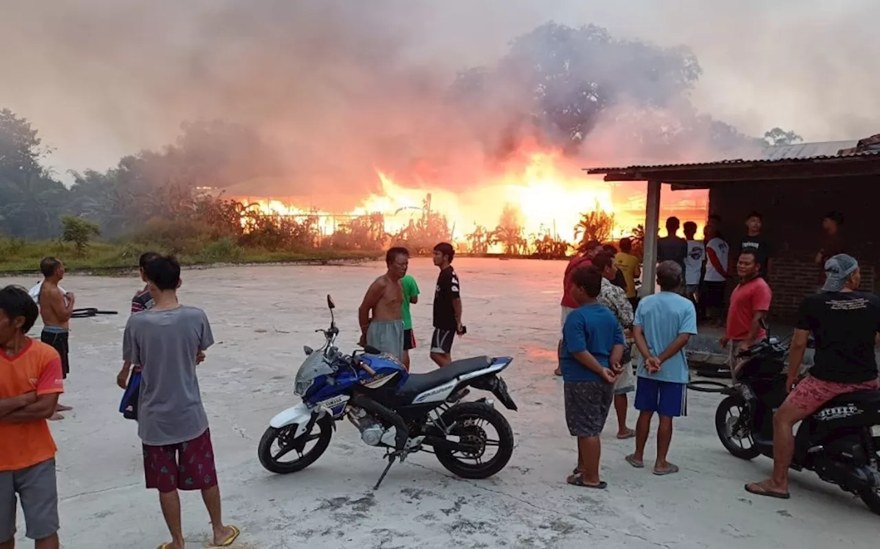 45 Ribu Ayam Terbakar Bersama Kandang, Pemilik Rugi Rp 5 Miliar