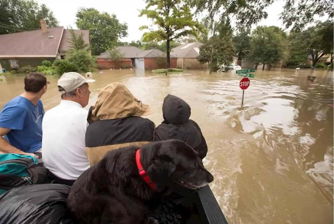 Federal forecasters predict the highest number of storms ever for 2024 season