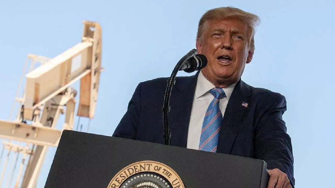 Senate panels launch probe into alleged Trump 'quid pro quo' with energy execs