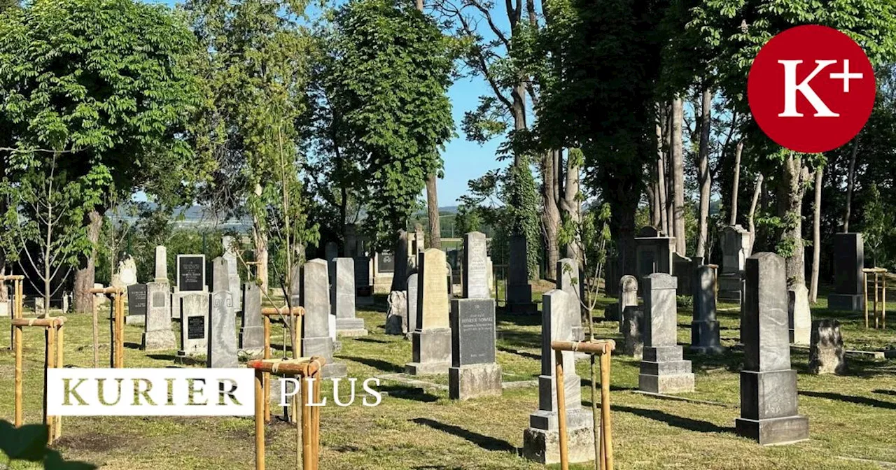 Jüdischer Friedhof in St. Pölten: Neuer Glanz für alte Gräber