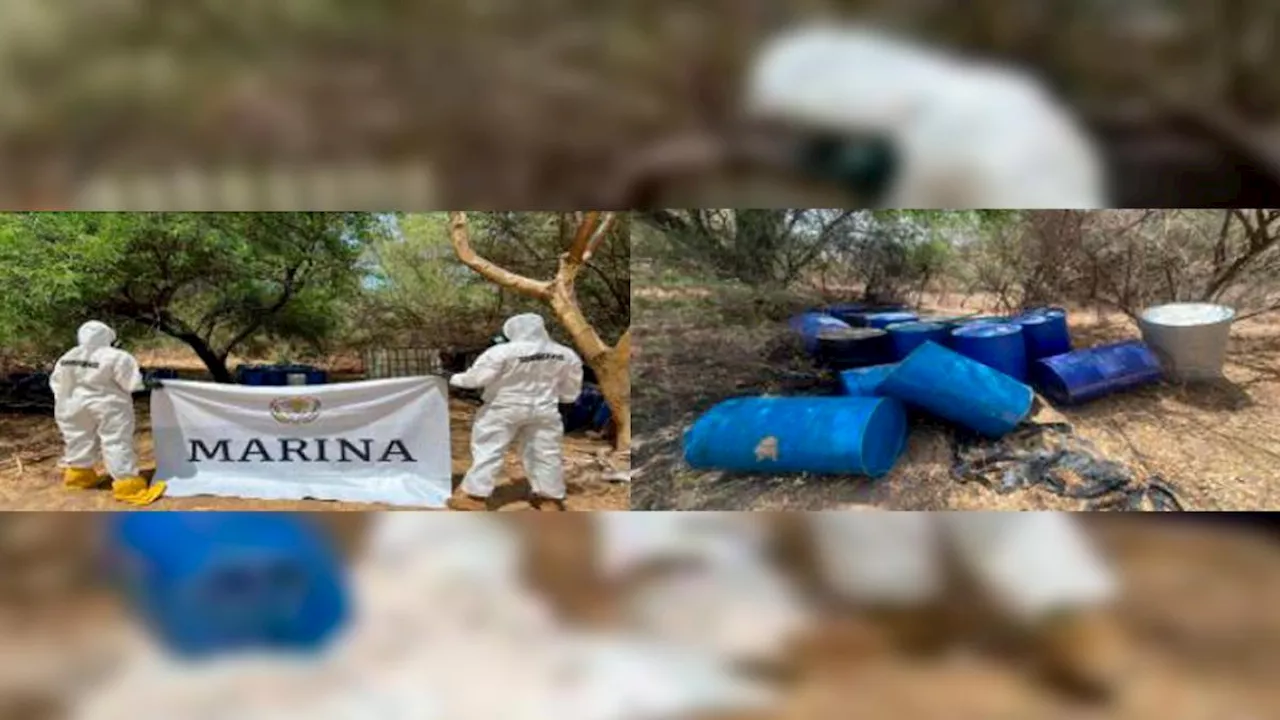 Destruye Marina laboratorio clandestino en Choix, Sinaloa