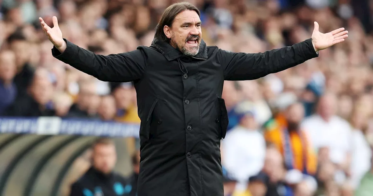 Daniel Farke gets VAR wish as Leeds United boss already given tactical hint