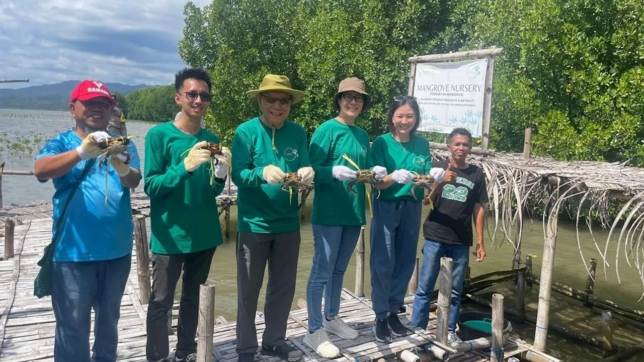 Perusahaan Otomotif MPMX Gandeng Masyarakat NTT Lestarikan Mangrove