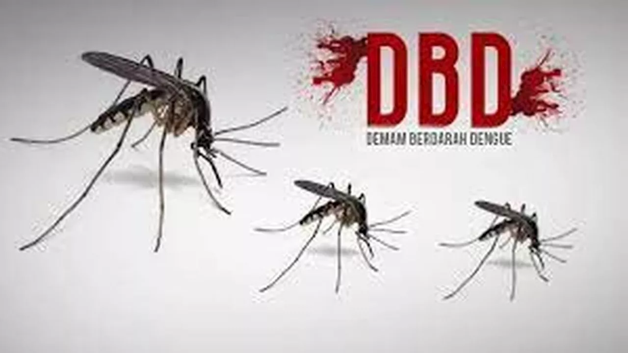 Update Demam Berdarah Dengue di Indonesia: 91.269 Kasus DBD dengan 641 Kematian