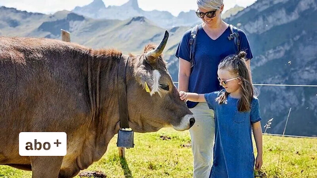 Stoosbahnen mit Rekordergebnis – dank Sommerbetrieb