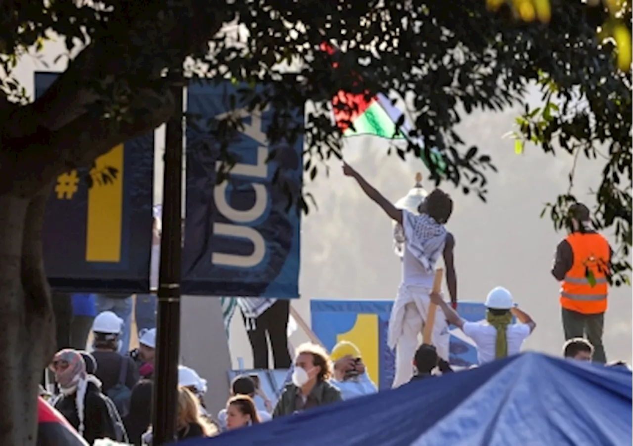 UCLA police chief reassigned following mob attack on pro-Palestinian protesters