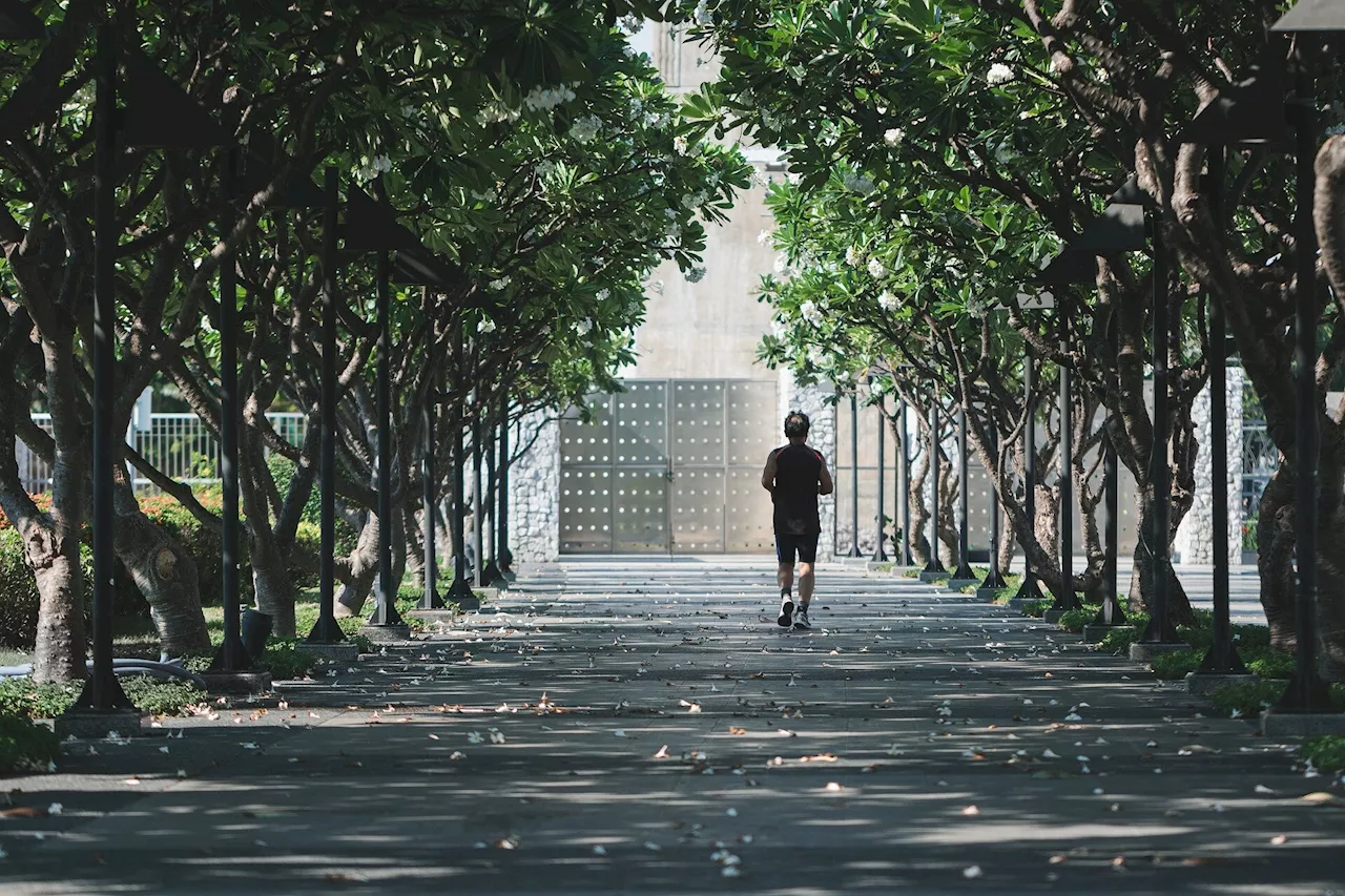 Researchers advocate for structured framework to study the benefits of exercise training in multiple sclerosis rehab