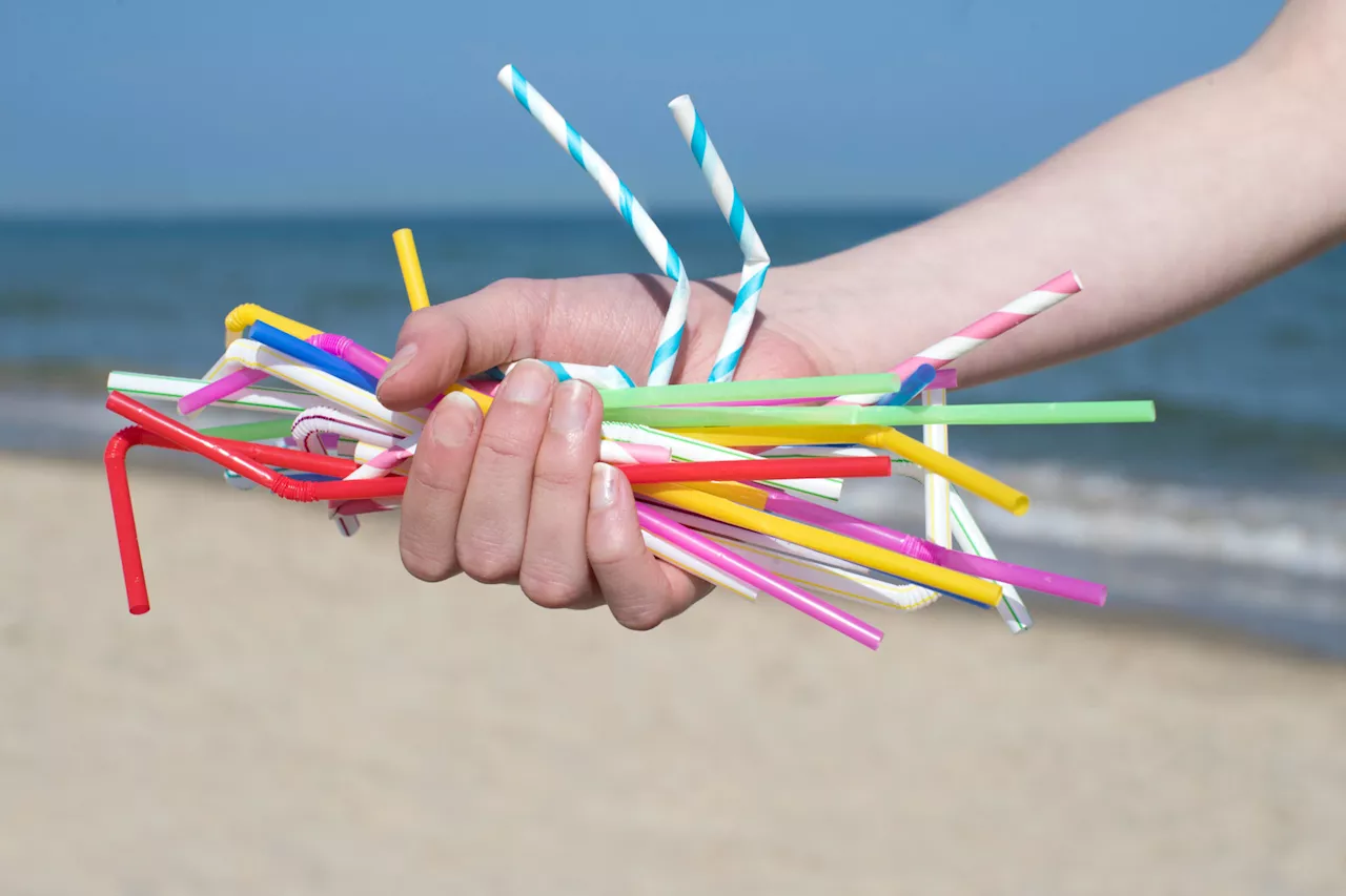 Half of Irish businesses unaware single-use plastics are banned