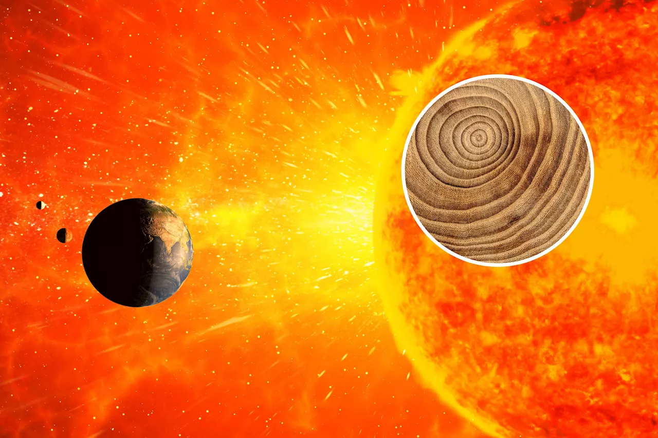 Solar Storm Used by Archaeologists To Shine Light on Ancient Settlement