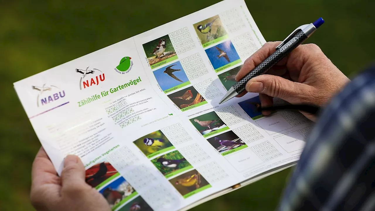 Niedersachsen & Bremen: Nabu: Einige Vogelarten früher aus Winterquartieren zurück