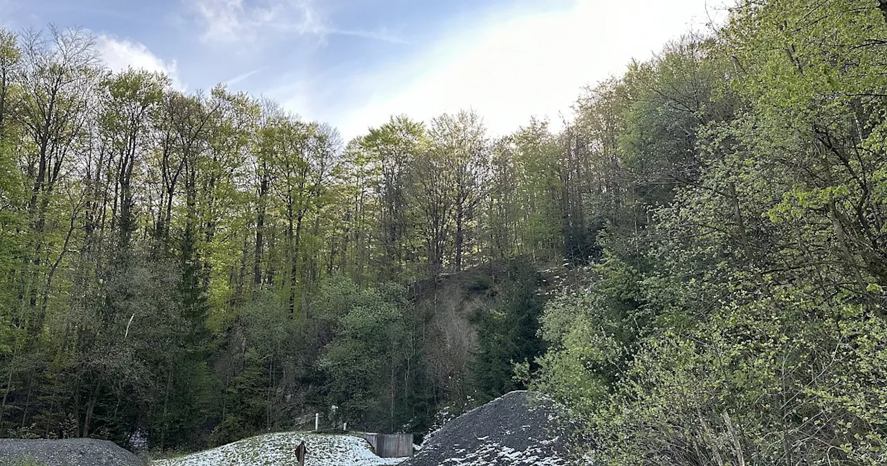 Kommentar: Panik vor dem Bürgervotum zum Nationalpark im Kreis Höxter