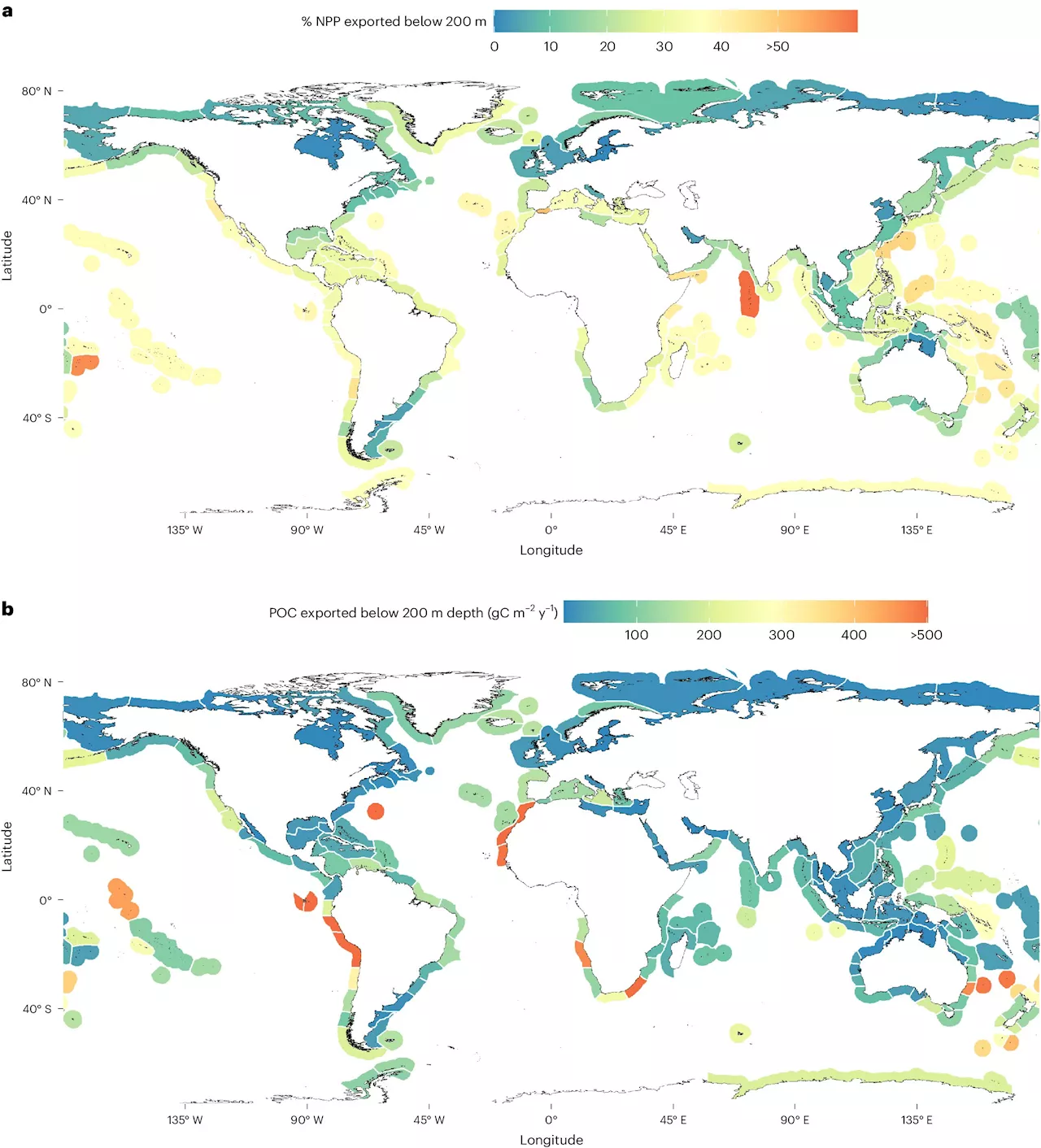 Seaweed forests are an overlooked component of oceanic carbon storage, study finds