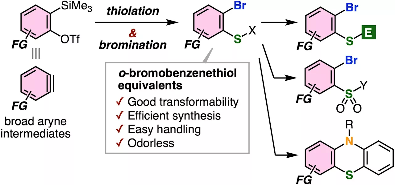 Unlocking complex sulfur molecules: A novel approach for synthesis of functionalized benzenethiol equivalents