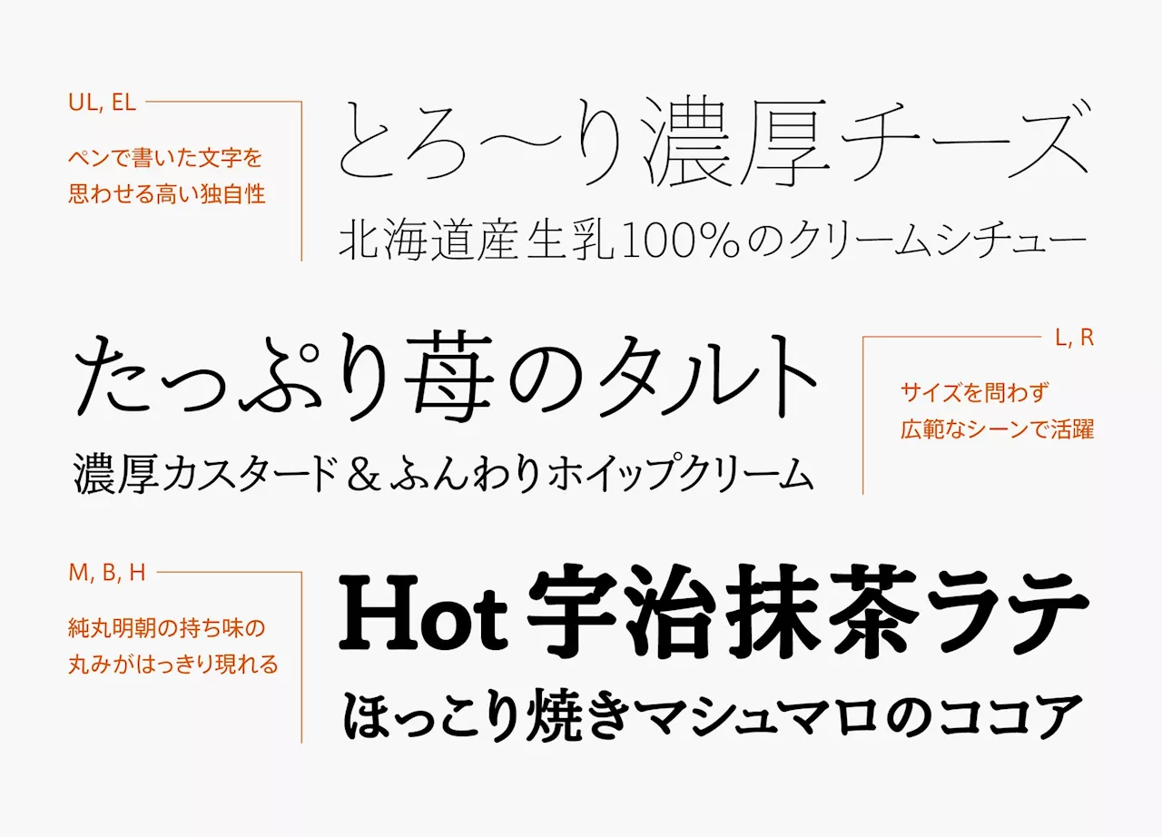 タイププロジェクト、オーソドックスで汎用性の高い純明朝をベースにした「純丸明朝」の提供を開始