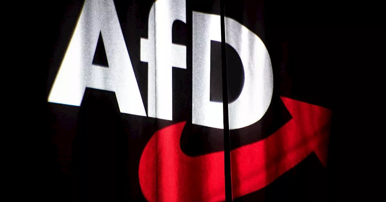 ID-Fraktion im Europaparlament schließt AfD aus​