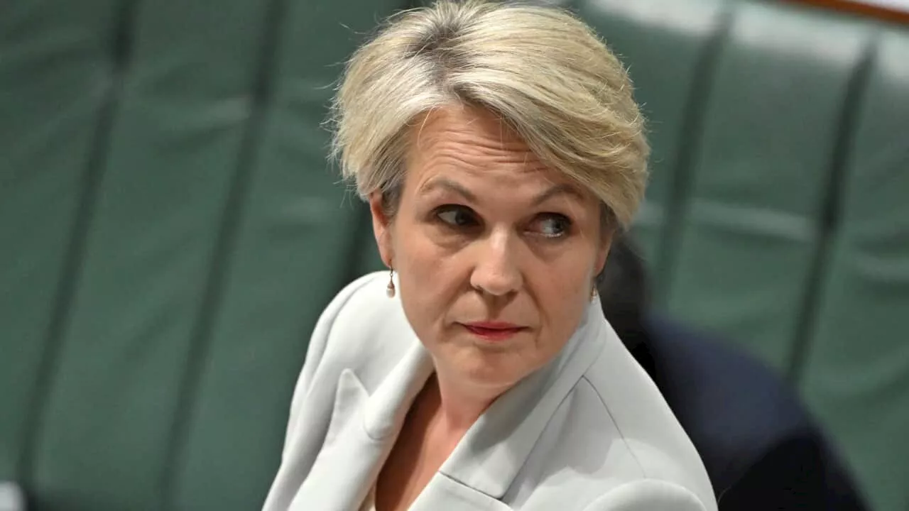 Tanya Plibersek caught on hot mic: 'Don't say anything horrible about James Paterson'