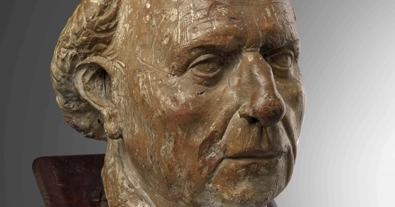 Unknown bust of the architect who designed the Florence cathedral dome found after 700 years