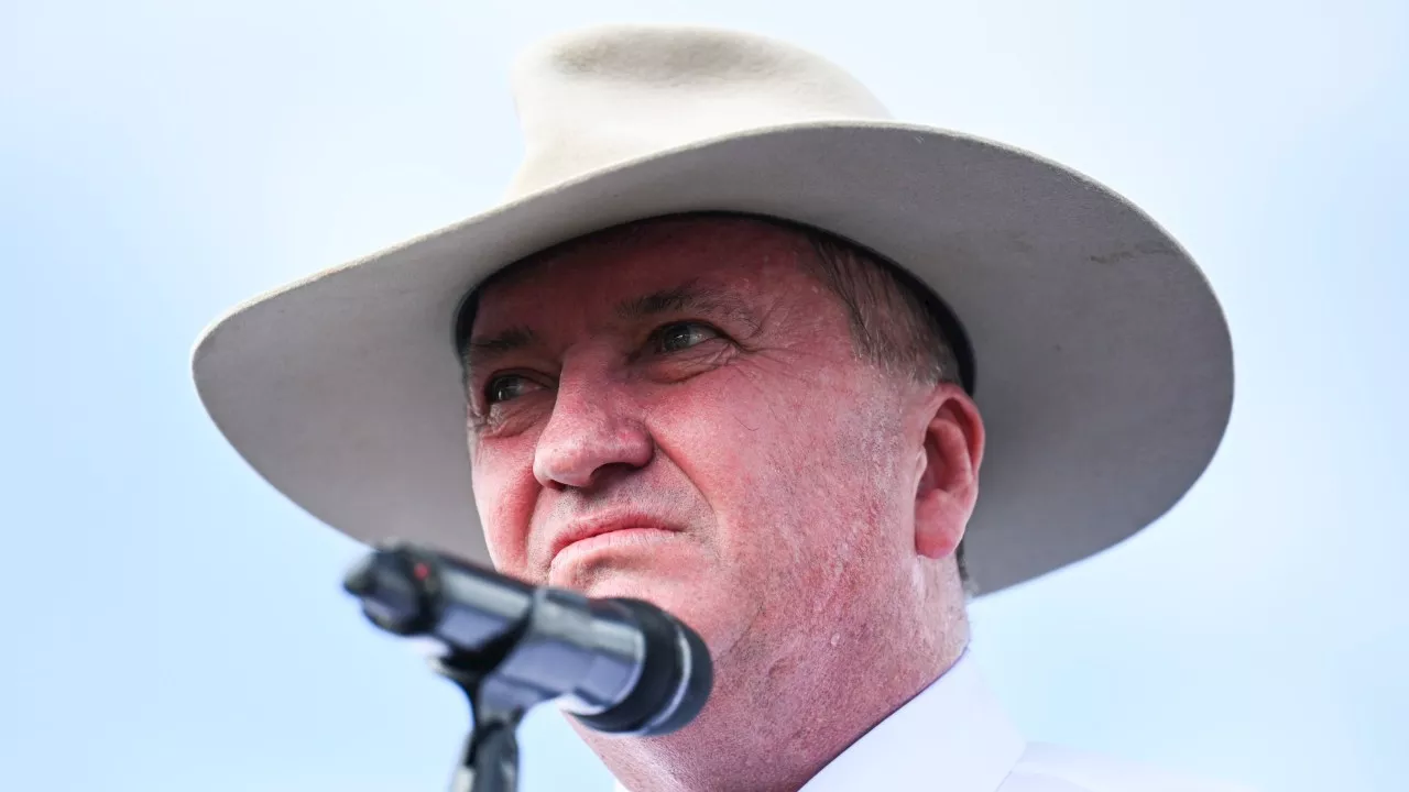 ‘He’s a weak man’: Barnaby Joyce slams Albanese over ICC stance