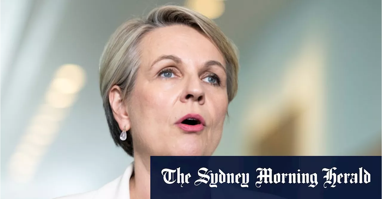 Deepfake porn could cause a generational back step in gender equality, says Plibersek