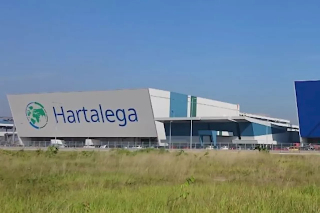 Hartalega to see sequential growth as glove demand picks up