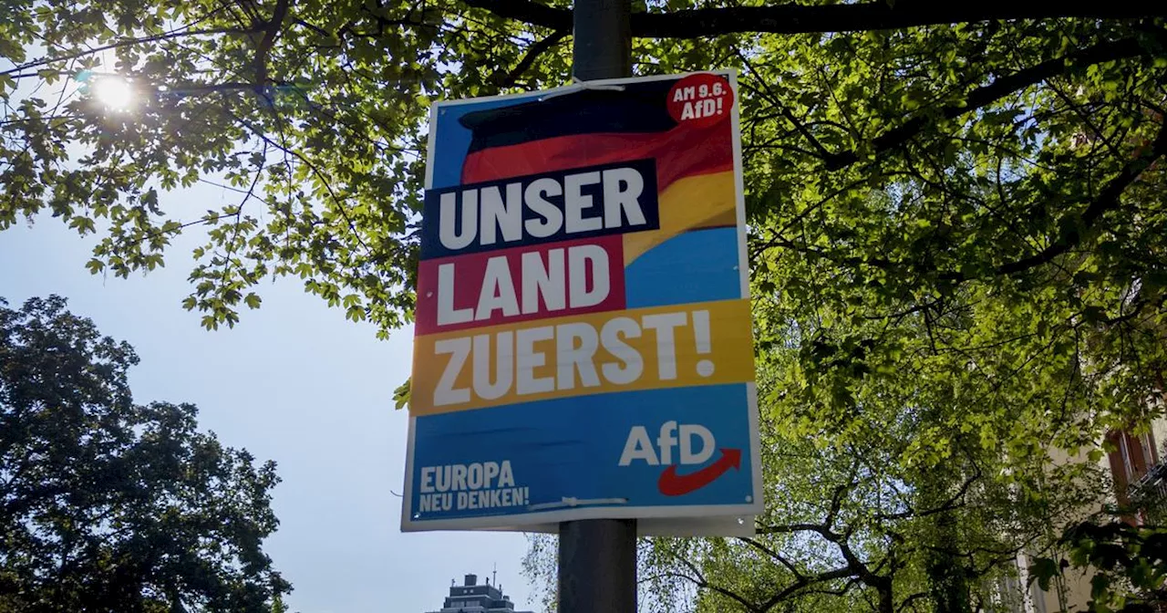 AFD utesluts ur partigrupp i Europaparlamentet