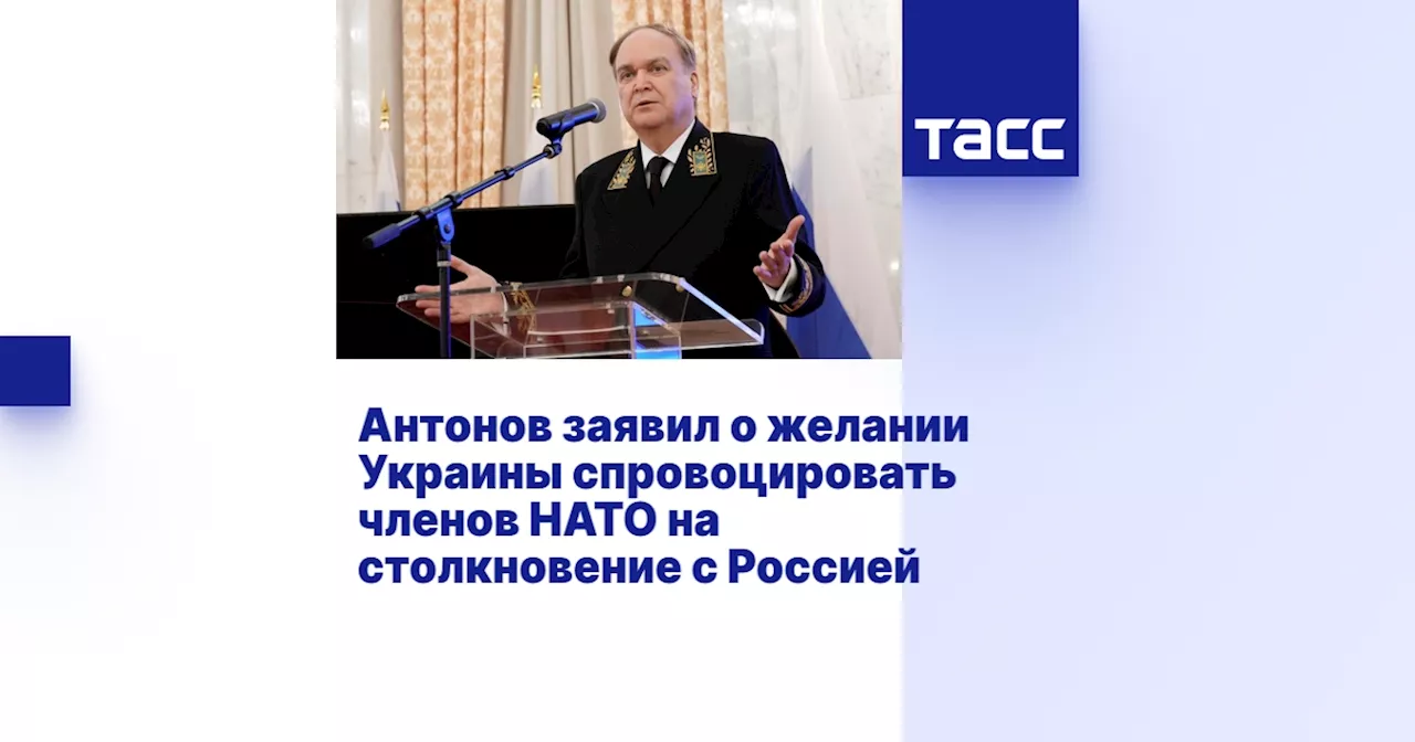 Антонов заявил о желании Украины спровоцировать членов НАТО на столкновение с Россией