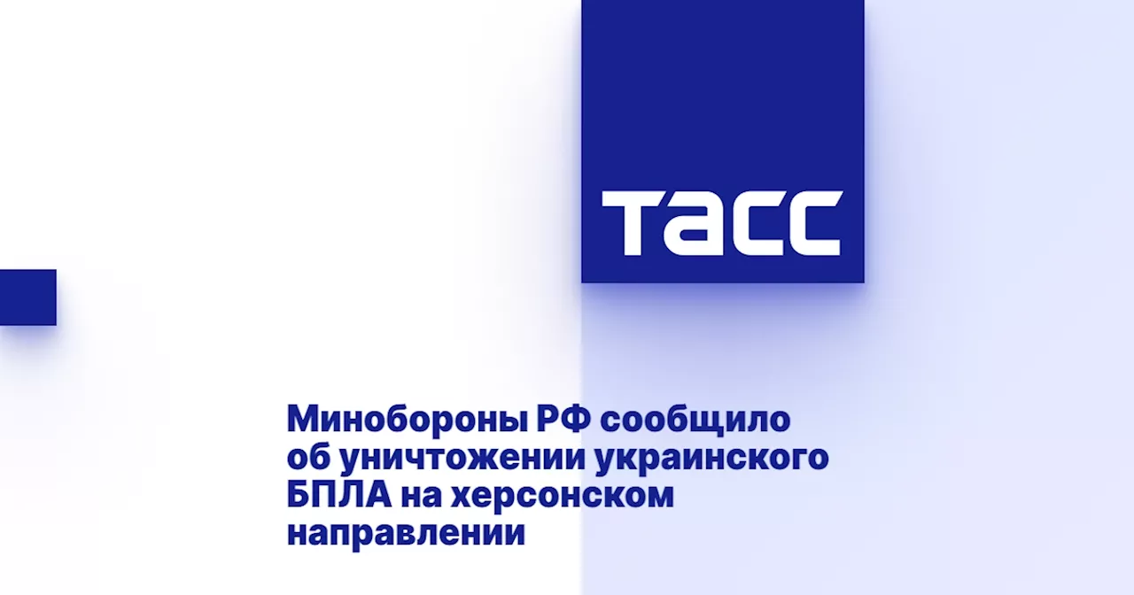 Минобороны РФ сообщило об уничтожении украинского БПЛА на херсонском направлении