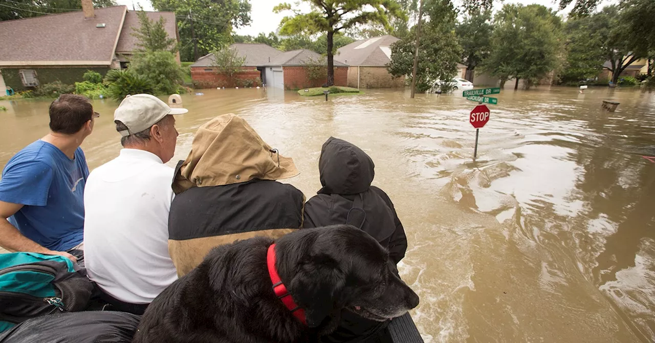 Federal hurricane forecasters predict record 2024 season