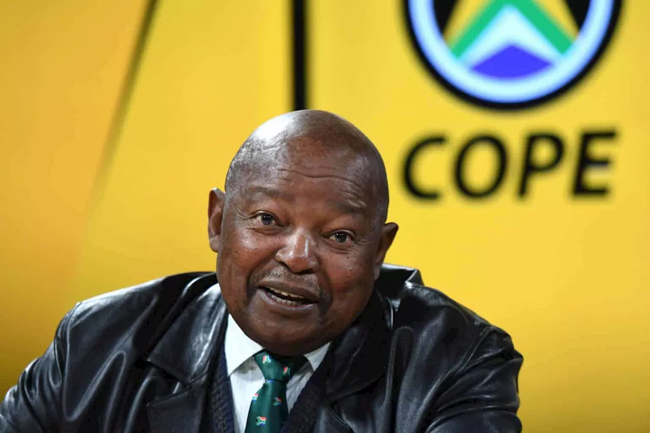 WATCH: Lekota claims former Tshwane mayor sent people to attack Cope leaders