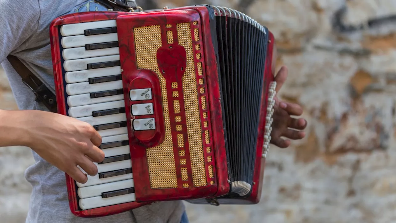 Why today’s Google Doodle is celebrating the accordion