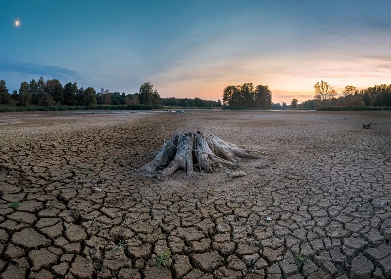 International cities facing ‘Day Zero’ turn to Cape Town for guidance