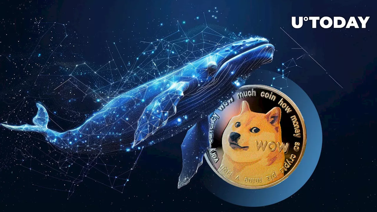 Ancient Dogecoin Whale Returns After 10.4 Years: What Did They Do Next?