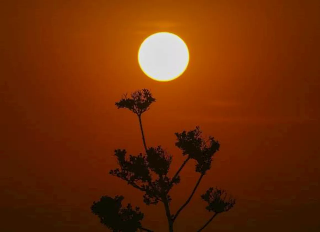 “Domo de calor” provoca temperaturas sofocantes en México, Centroamérica y sur de EU