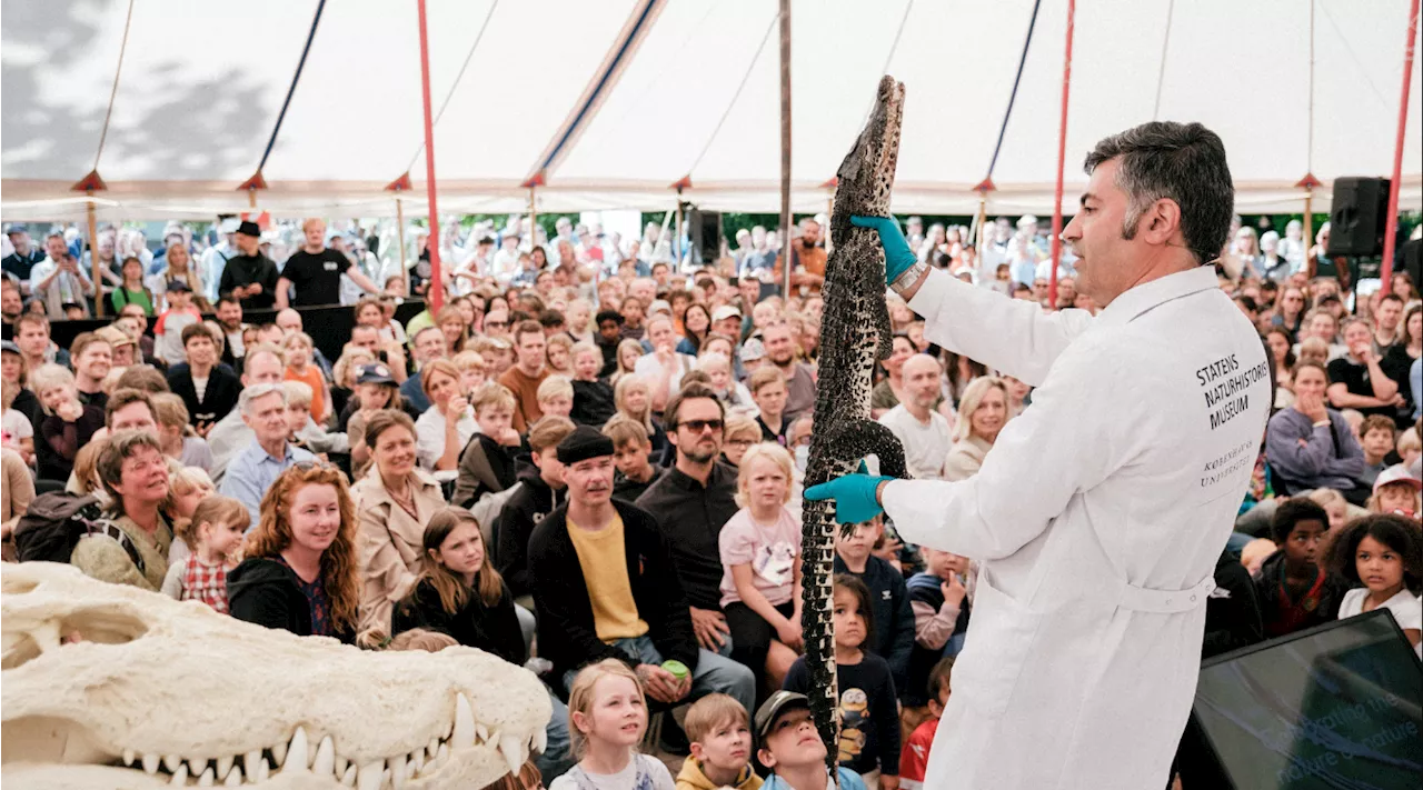 Cocktailprintere, nobelvindende ‘klik-kemi’ og raketværksted: Dette kan du opleve på vidensfestivalen Bloom