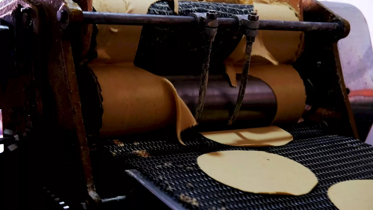 How Mexico’s cartels infiltrated the tortilla business