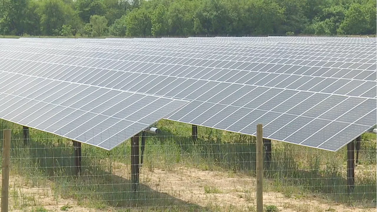 Amazon, partners cut ribbon on Madison County solar project with thousands of panels