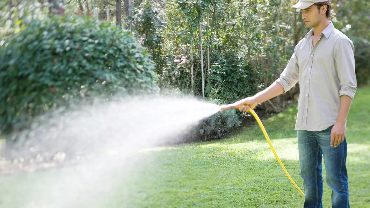 Grüner Rasen im Sommer: Richtiges Wässern, Mähen und Düngen