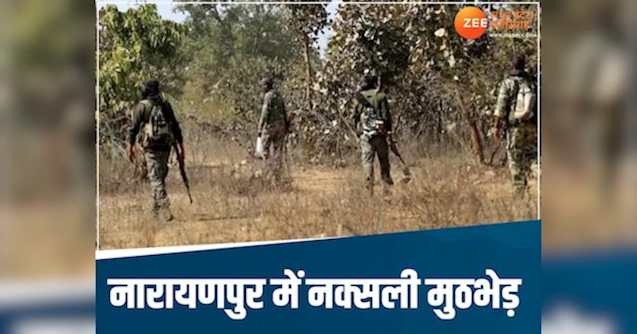 Chhattisgarh News: नक्सलियों ने जवानों पर बरसाईं गोलियां, जवाबी कार्रवाई में गूंजा नारायणपुर, कई नक्सली ढेर