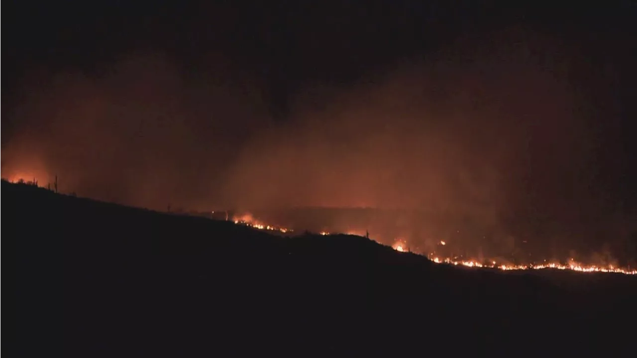 Access to Cave Creek Ranger District starts to reopen as crews increase Wildcat Fire containment