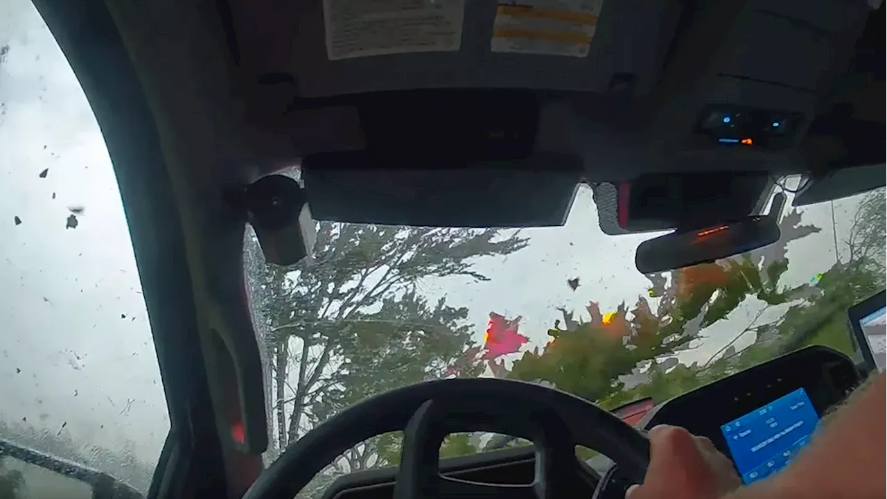 Must-See Video: Fallen tree and passing twister keep Iowa deputy inside vehicle