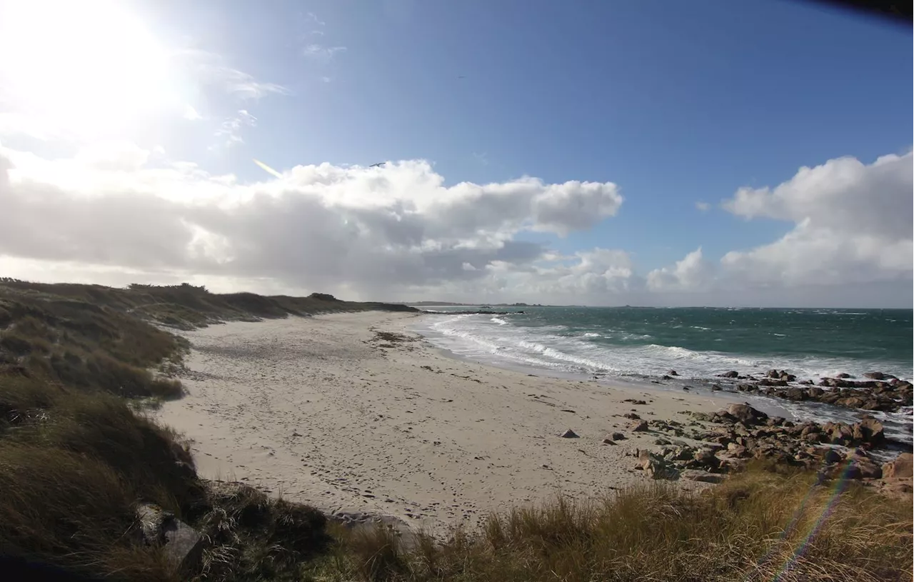 Une plage française sur cinq polluée par des bactéries dénonce une étude