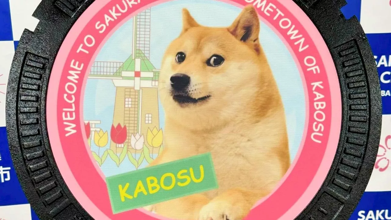 Muere Kabosu, el perro que protagonizó el meme mundial 'Doge' y es la imagen de la criptomoneda favori