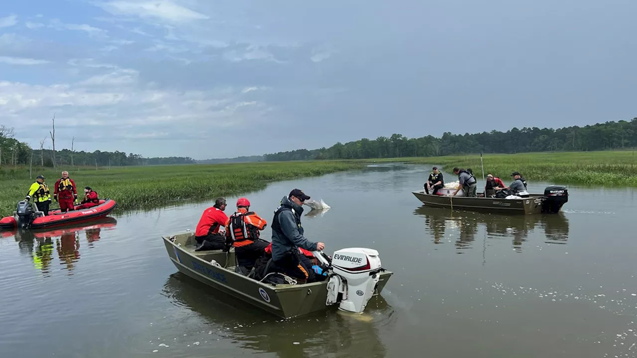 Stranded dolphin dies during second rescue attempt in South Jersey creek