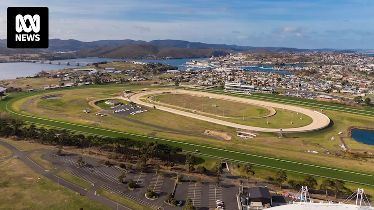 Ambitious Hobart AFL stadium bid at Elwick racecourse by Melbourne developer quashed by state government