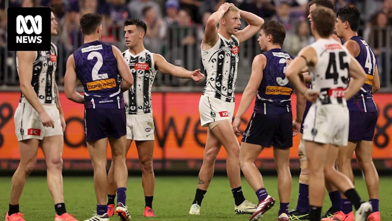 Collingwood confused over late free kick in AFL draw with Fremantle