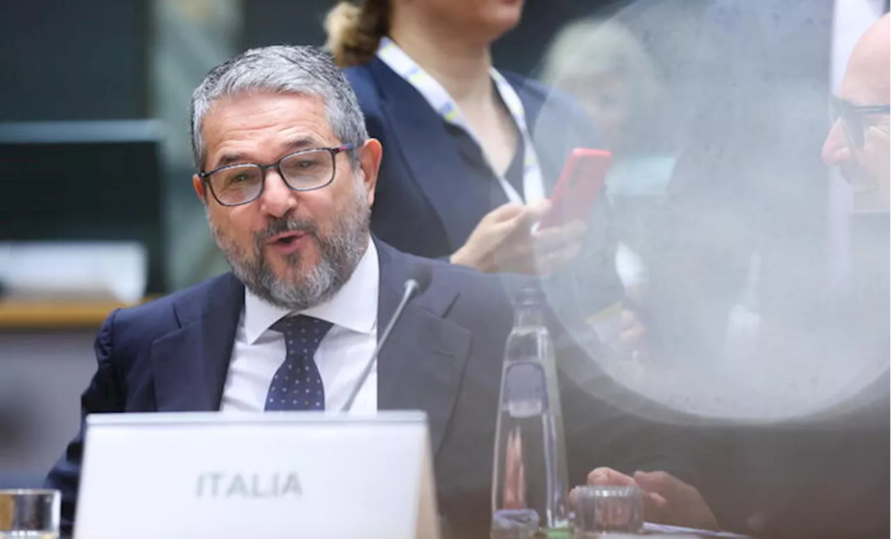 Valentini, 'la futura politica industriale europea sia assertiva'