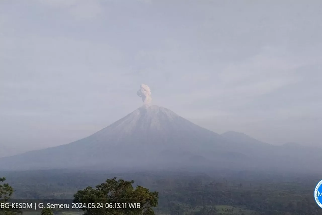 Gunung Semeru erupsi enam kali dengan letusan abu hingga 900 meter