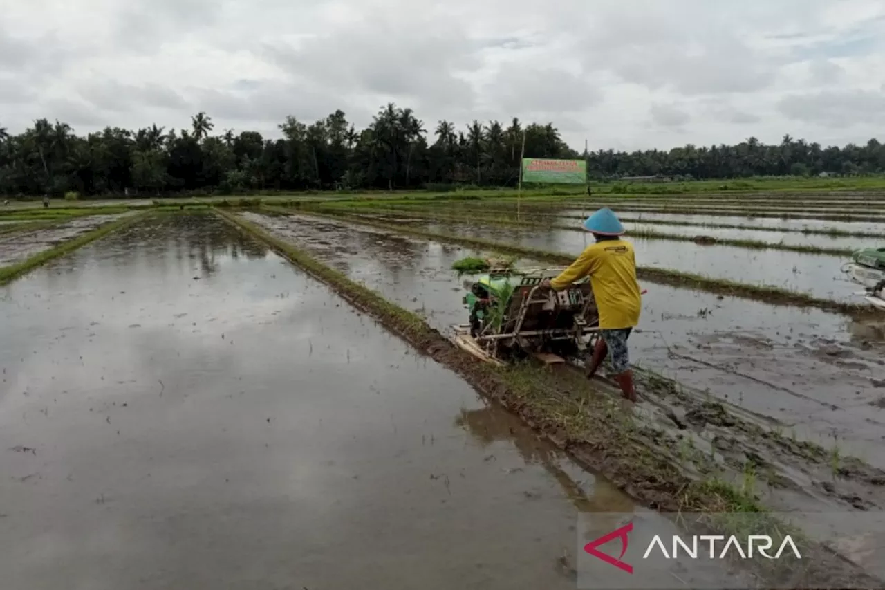 Kementan siapkan pompanisasi untuk daerah kering hadapi musim kemarau